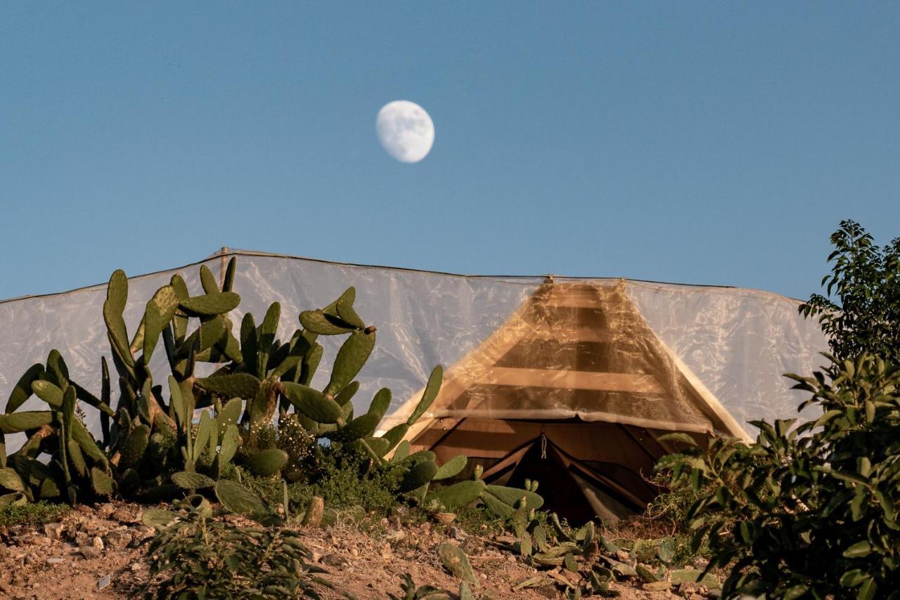 Finca Gaia La Segunda Guia de Isora  Bagian luar foto