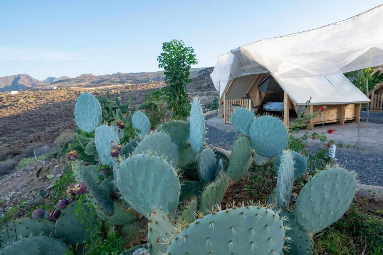 Finca Gaia La Segunda Guia de Isora  Bagian luar foto