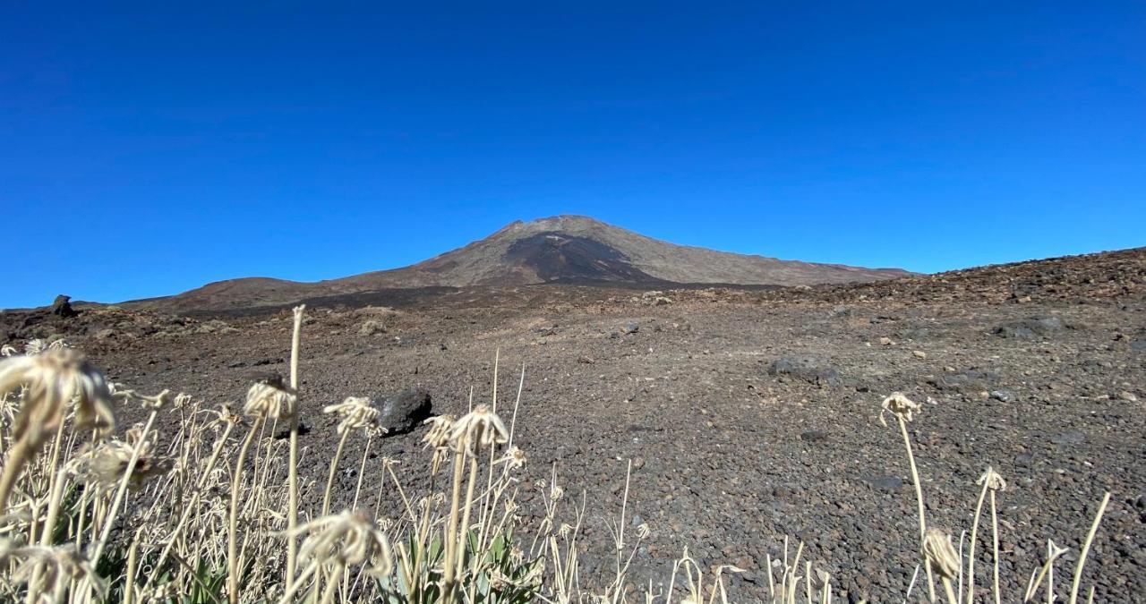 Finca Gaia La Segunda Guia de Isora  Bagian luar foto