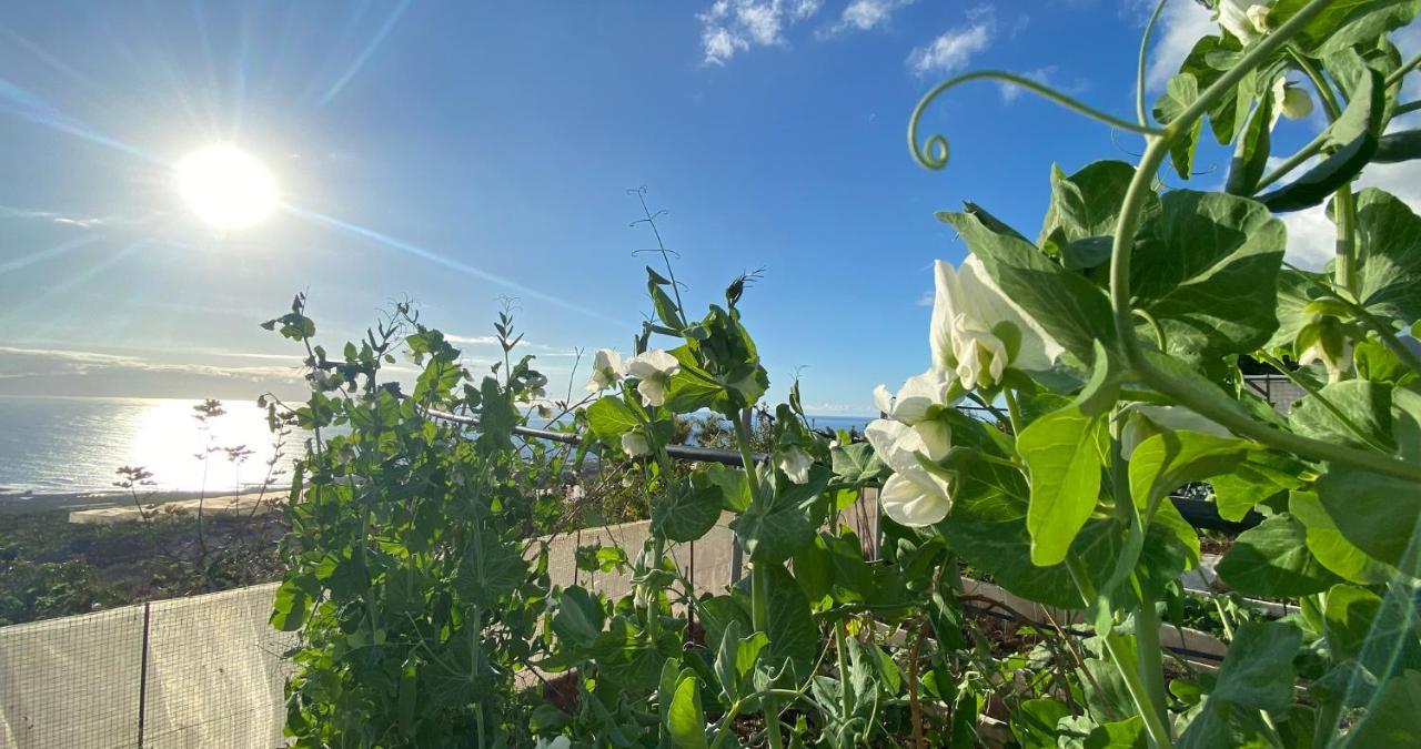Finca Gaia La Segunda Guia de Isora  Bagian luar foto