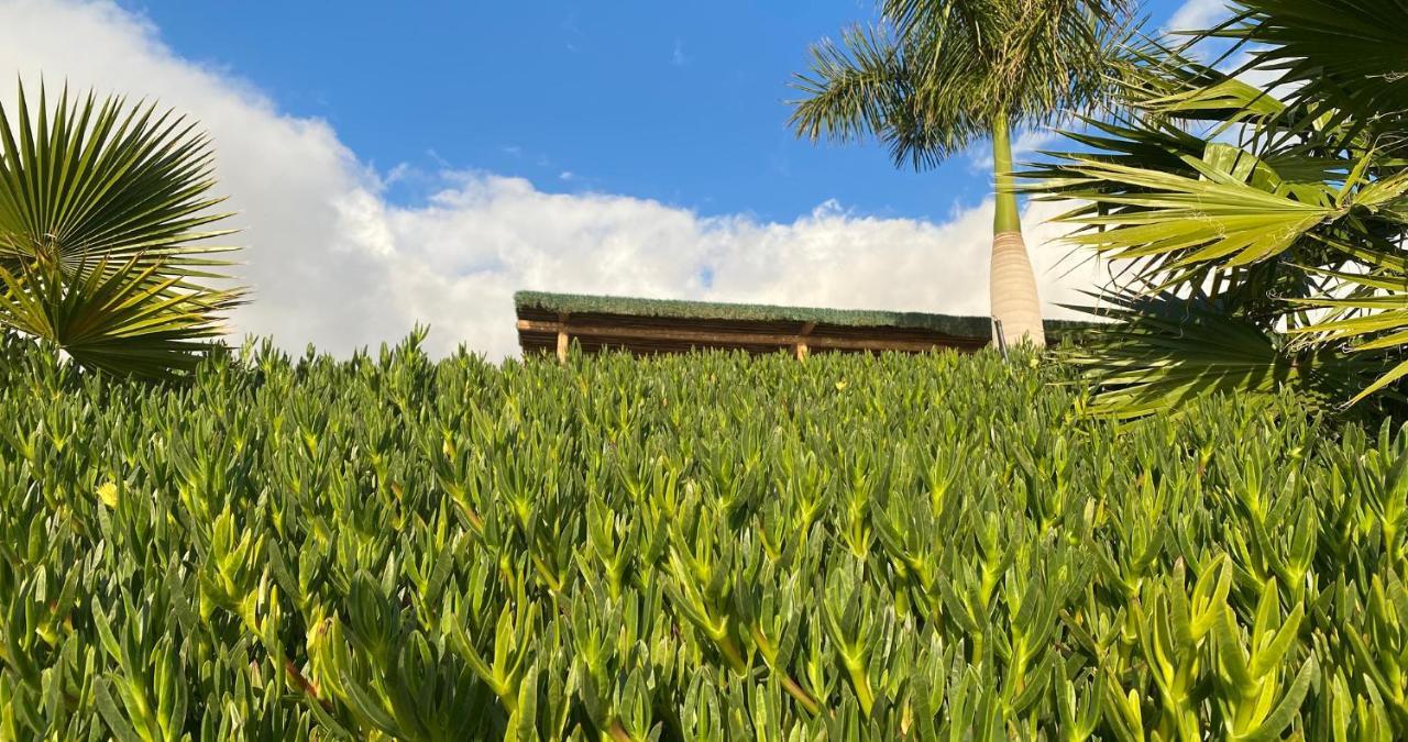 Finca Gaia La Segunda Guia de Isora  Bagian luar foto