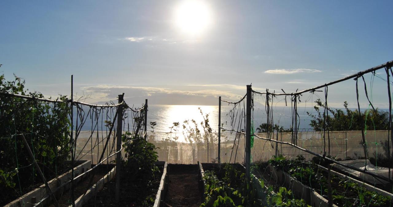 Finca Gaia La Segunda Guia de Isora  Bagian luar foto