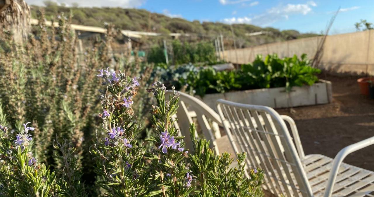 Finca Gaia La Segunda Guia de Isora  Bagian luar foto