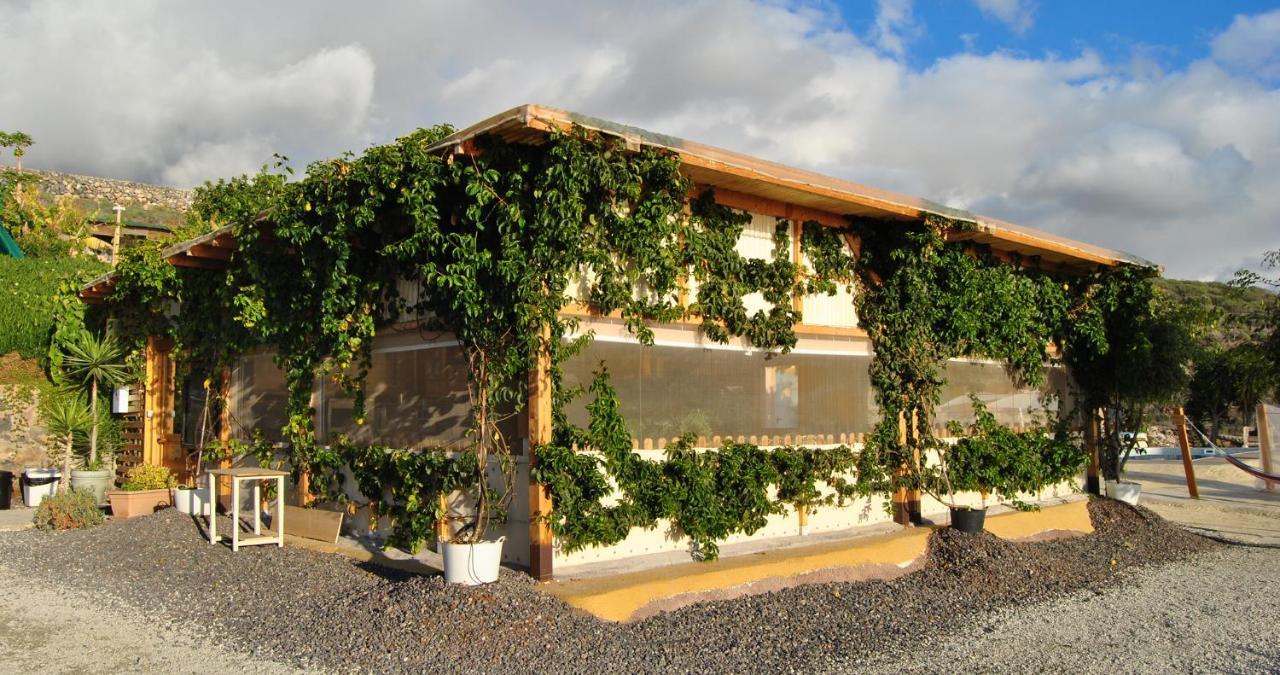 Finca Gaia La Segunda Guia de Isora  Bagian luar foto
