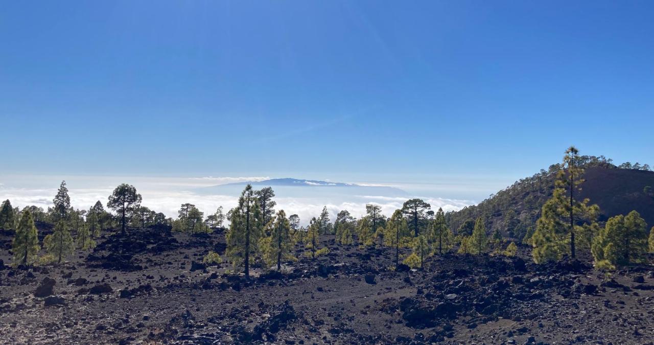 Finca Gaia La Segunda Guia de Isora  Bagian luar foto